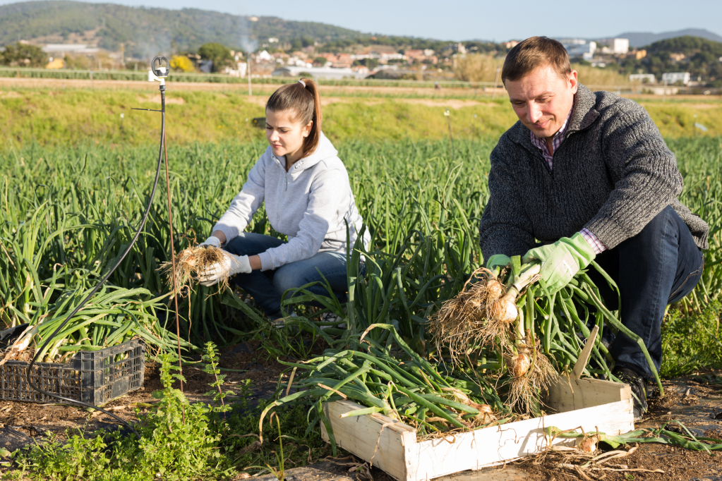 What Your Wife Can’t Live Without – (Do You Know What It&nbsp;Is?)