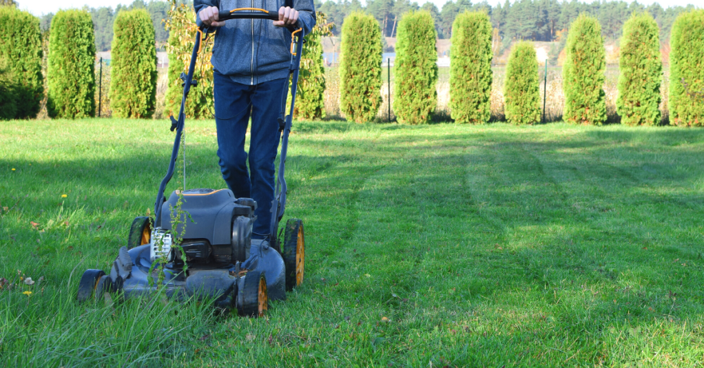 teen mowing green grass with evergreens in background
